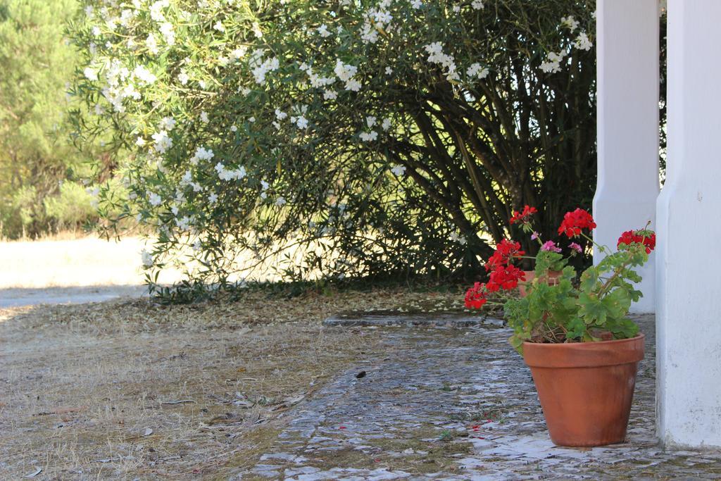 Quinta Do Valle Tomar Extérieur photo