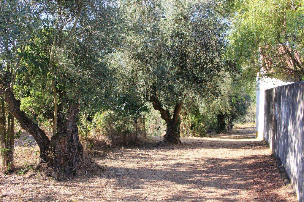 Quinta Do Valle Tomar Extérieur photo