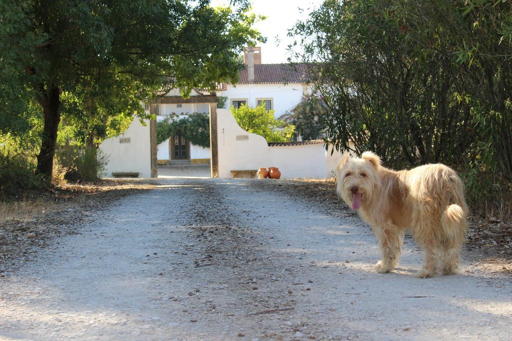 Quinta Do Valle Tomar Extérieur photo